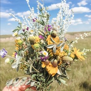 Meet your Posher, Christy